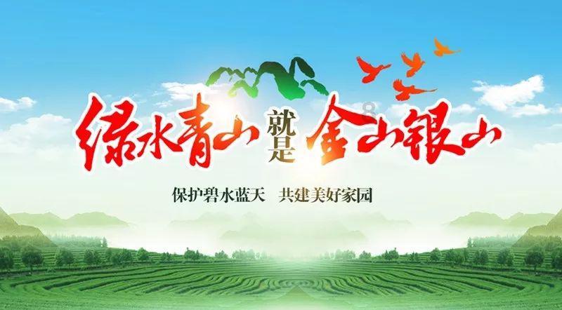 学习插花艺术
