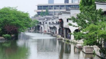 饥饿的哈利